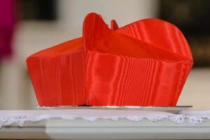 Kardinaalshoed' (foto: Stephen Barnes / Shutterstock)