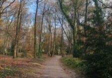 17008235266211957171703800435754