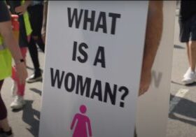 220816 What is a woman - voor artikel Mgr Rob - Matt Walsh