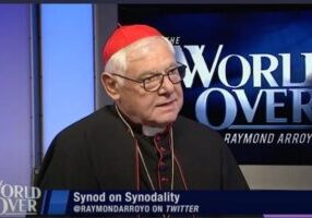 Kardinaal Gerhard Müller verscheen op EWTN's The World Over met Raymond Arroyo (foto: Screenshot / EWTN)