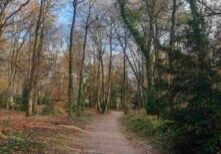 H.Landstichting bij Nijmegen (c) EWTN Lage Landen