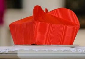 Kardinaalshoed' (foto: Stephen Barnes / Shutterstock)