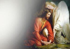 banner-1 vastentijd EWTN corporate v02